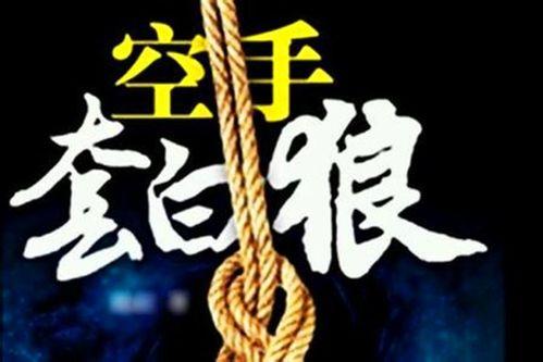 重生八九空手套白狼,逆天改命的传奇人生