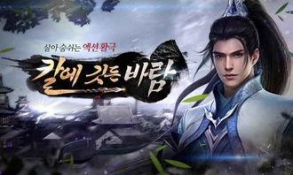 风之刀,揭秘神秘武学传奇