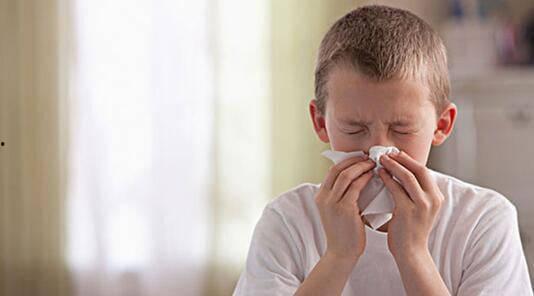 四季森林 第一季,探寻自然轮回的奇幻之旅